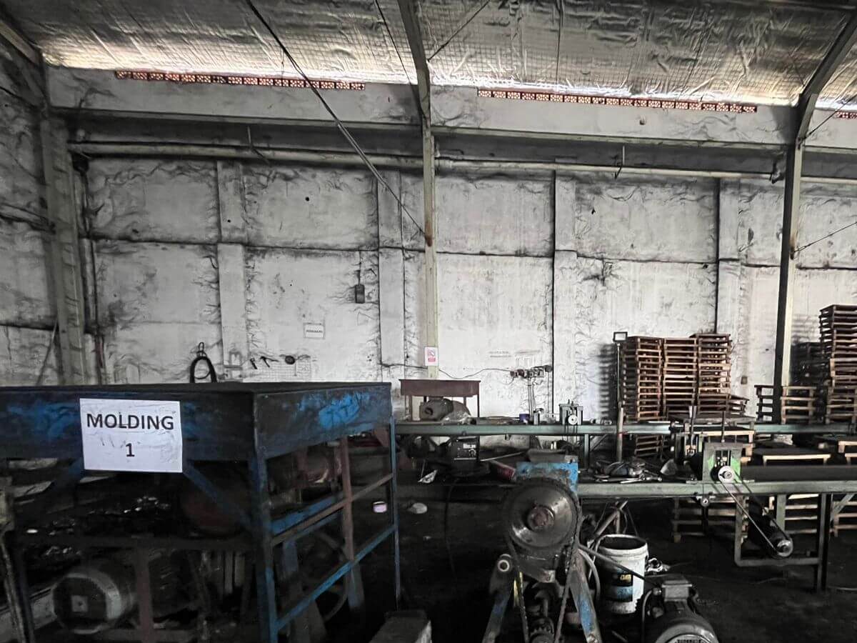MOLDING 1